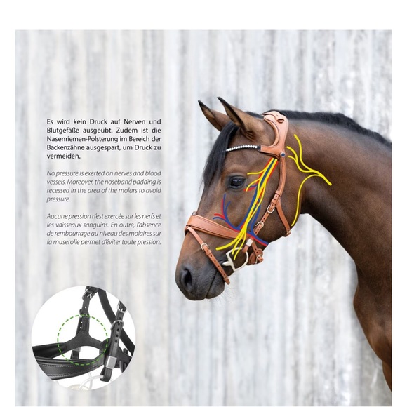 Stubben Freedom 2 Bridle Cob - Picture 12 of 14